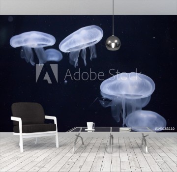Image de Glowing jellyfish close-up in the aquarium